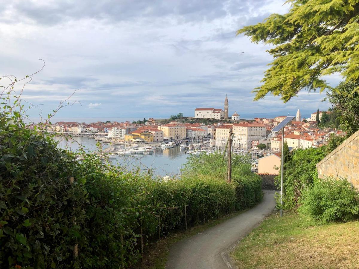 Apartment Modrin Piran Buitenkant foto