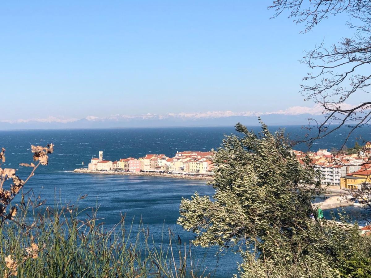Apartment Modrin Piran Buitenkant foto