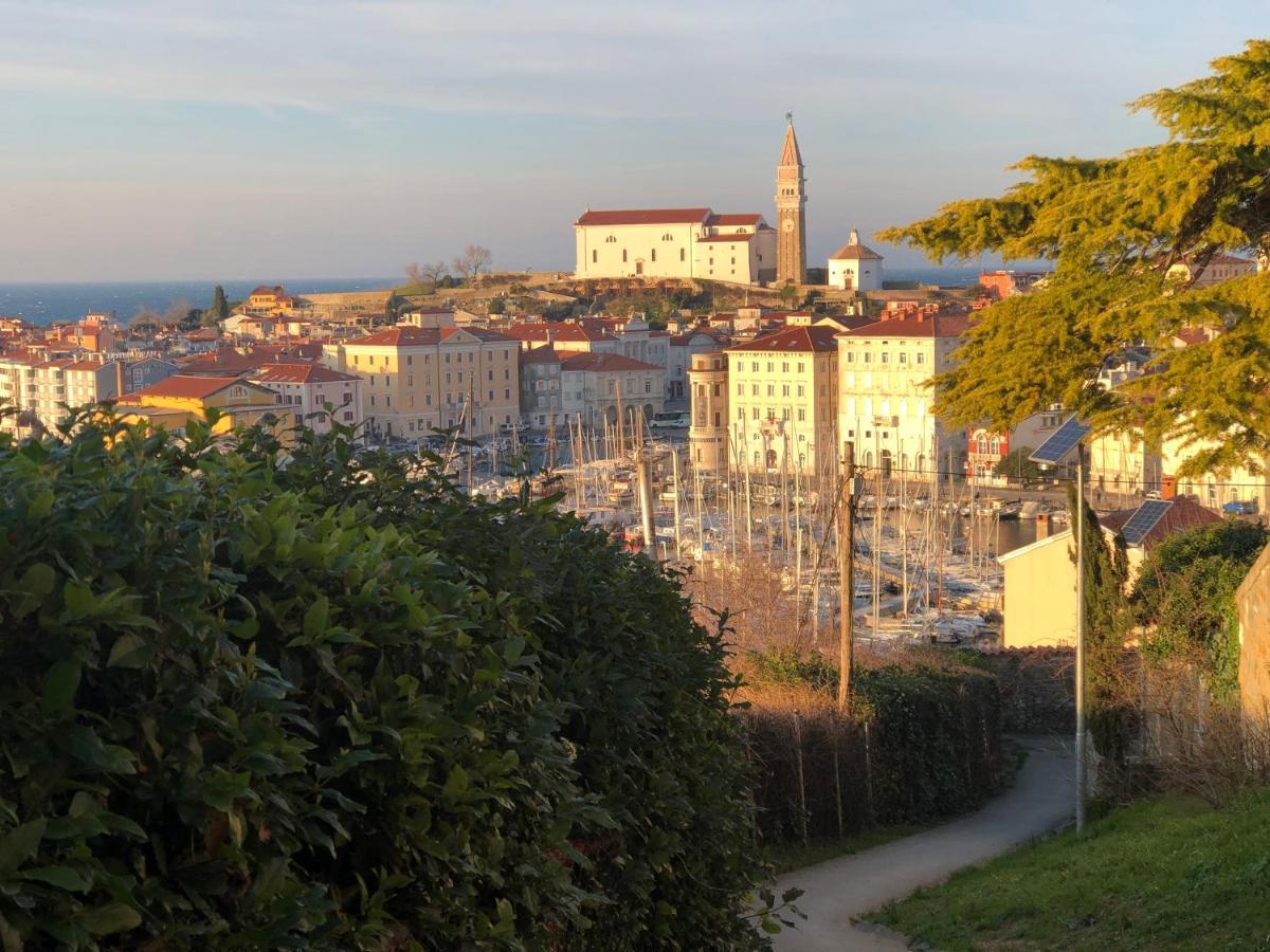 Apartment Modrin Piran Buitenkant foto