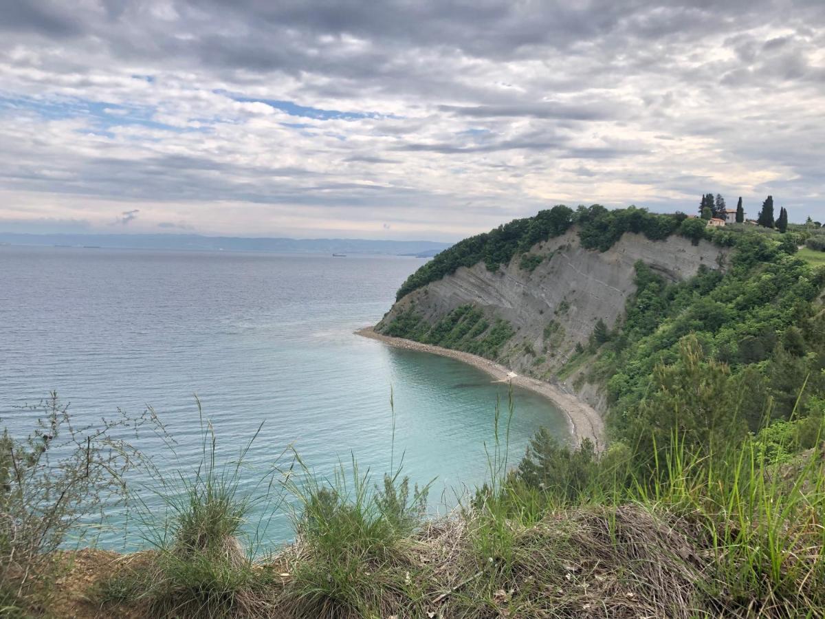 Apartment Modrin Piran Buitenkant foto